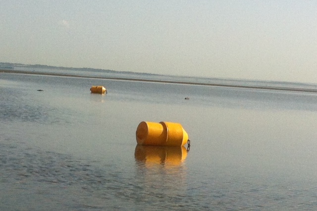 yellow buoys